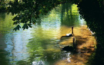 Картинка lake природа реки озера лодка затопленная лето озеро ветки деревья