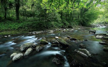 Картинка природа реки озера лето река лес