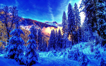 обоя winter, природа, зима, горы, хвойный, лес, утро, свет, дымка, снег, тропинка