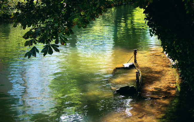 Обои картинки фото lake, природа, реки, озера, лодка, затопленная, лето, озеро, ветки, деревья