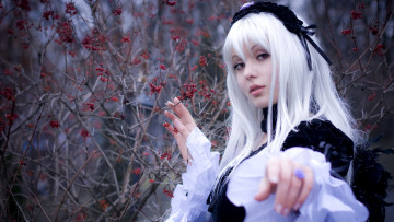 Картинка разное cosplay+ косплей ягоды осень костюм взгляд блондинка rozen maiden аниме suigintou