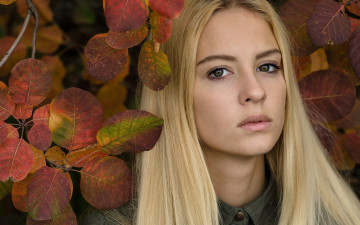 Картинка девушки -unsort+ лица +портреты осень девушка лицо листья блондинка