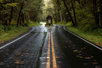 Картинка природа дороги лес осень дорога