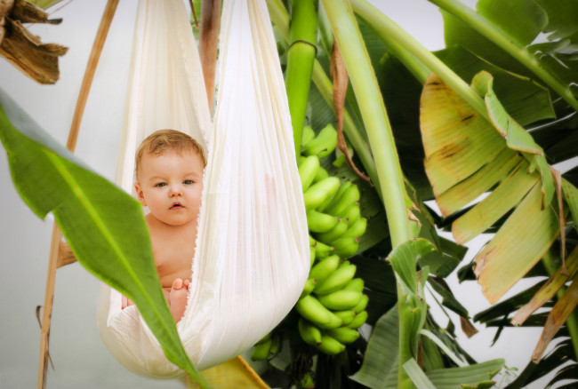 Обои картинки фото разное, дети, ребенок, гамак, листья, бананы