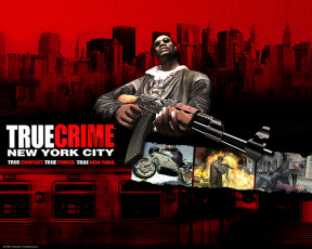 Картинка видео игры true crime new york city