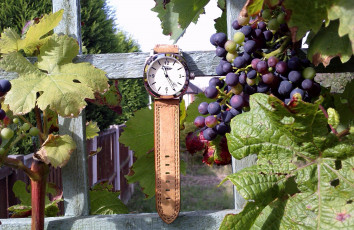 Картинка разное Часы часовые механизмы забор виноград наручные часы
