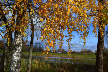 Картинка природа деревья листва река березы осень