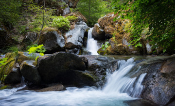 Картинка природа водопады лес река камни водопад