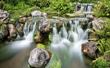 Картинка природа водопады лес каскад водопад папоротники река