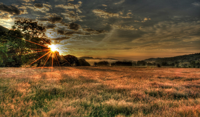 Обои картинки фото природа, восходы, закаты, поле, лучи, солнце, трава, лес, туман