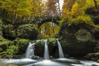 Картинка природа водопады река мост лес осень каскад водопад