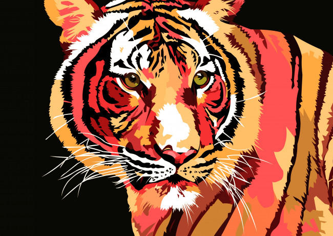 Обои картинки фото векторная графика, животные , animals, фон, тигр