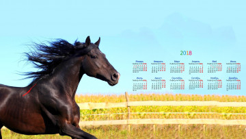 обоя календари, животные, 2018, лошадь, бег