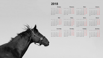 обоя календари, животные, лошадь, 2018