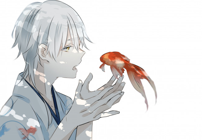 Обои картинки фото аниме, touken ranbu, рыбка, парень