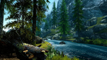 Картинка природа реки озера елки река горы