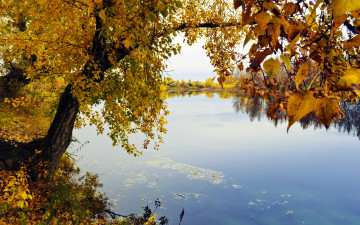 Картинка природа реки озера осень река