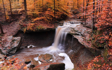Картинка природа водопады водопад осень лес