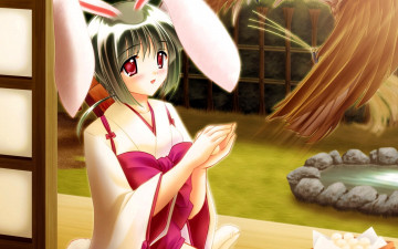 Картинка seishun+buta+yaro+wa+bunny аниме seishun+buta+yarou+wa+bunny+girl+senpai+no+yume+wo+minai девушка ушки двор