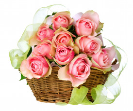 Картинка цветы розы бутоны корзина лента