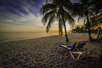Картинка природа тропики шезлонг пальма пляж океан