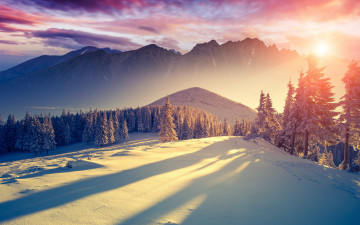 Картинка природа восходы закаты тишина декабрь ели свет солнце тени облака небо снег горы деревья
