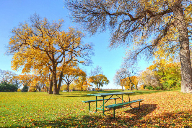 Обои картинки фото природа, парк, осень, скамейка