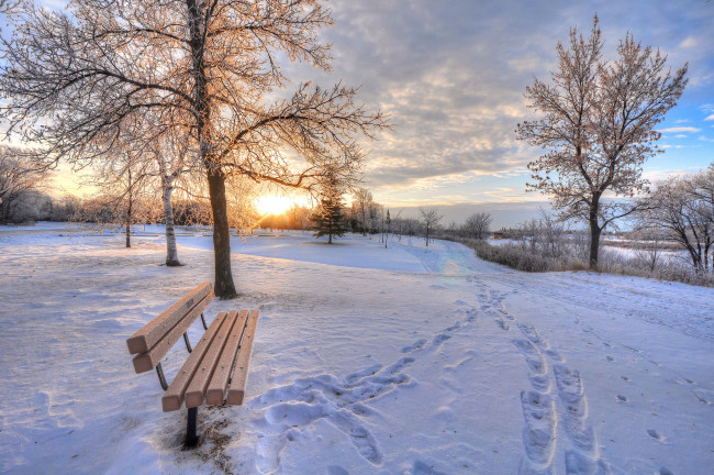 Обои картинки фото природа, зима, поле, солнце, следы, скамейка, снег