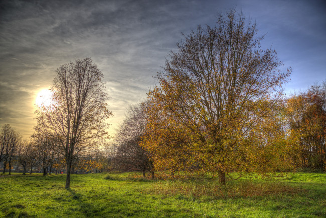 Обои картинки фото природа, восходы, закаты, осень, лес, поляна