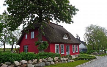 Картинка города -+здания +дома весна дерево цветы камни дом