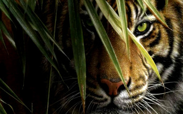 обоя рисованное, животные,  тигры, тигр, зверь, хищник, взгляд, листья