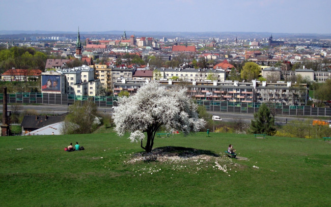 Обои картинки фото города, краков , польша, панорама, весна, дерево, цветущее, лужайка