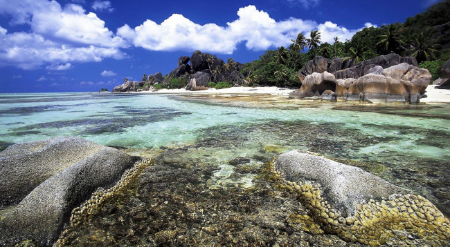 Обои картинки фото природа, побережье, сейшелы, остров, море, пальмы, камни