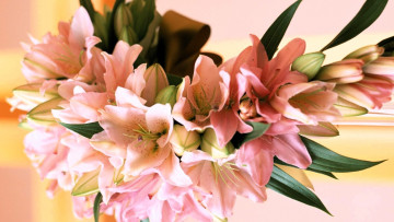 Картинка цветы лилии +лилейники розовые гирлянда