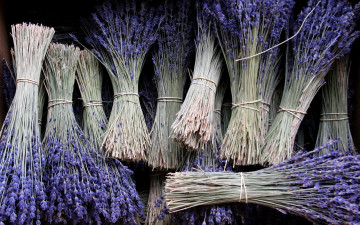 Картинка цветы лаванда фиолетовый вязанки