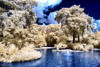 Картинка природа парк фонтан деревья облака пруд