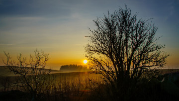 Картинка природа восходы закаты поле деревья солнце