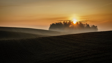 Картинка природа восходы закаты солнце поле
