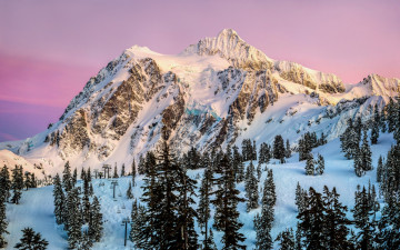 Картинка природа зима горы вершины лес снега