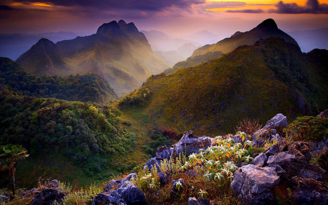 Обои картинки фото природа, горы, камни, цветы, лес, тучи, тайланд