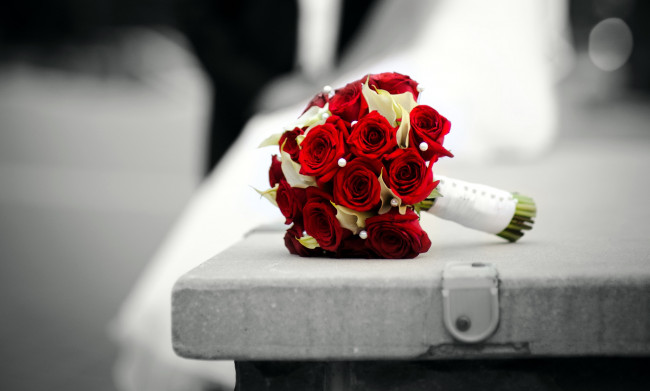 Обои картинки фото цветы, букеты,  композиции, букет, невесты, каллы, розы, красный, белый