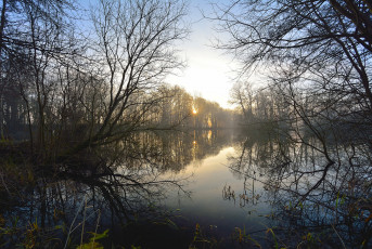 Картинка природа реки озера утро деревья небо озеро туман солнце