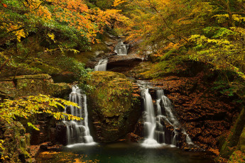 Картинка природа водопады лес деревья скалы осень ручей поток водопад