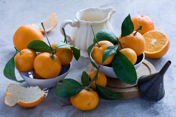 Картинка еда цитрусы oranges