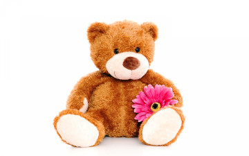 Картинка разное игрушки bear teddy цветок игрушка плюшевый мишка cute toy