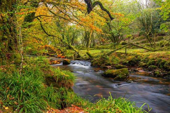 Обои картинки фото природа, реки, озера, осень, лес, речка