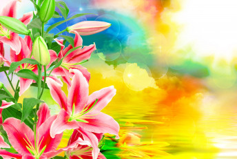 Картинка цветы лилии +лилейники лепестки фон