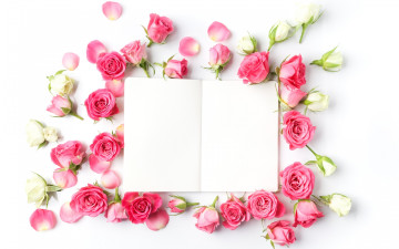 Картинка цветы розы бутоны бумага