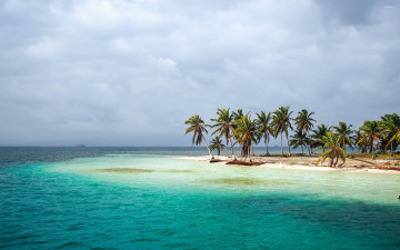 Картинка природа тропики море пальмы