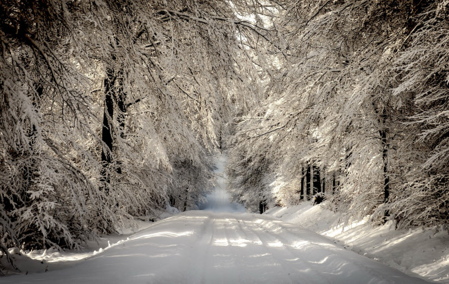 Обои картинки фото природа, дороги, деревья, снег